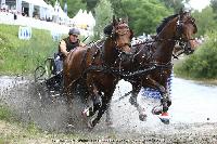 Photo n 44929&#10;SAUMUR 2018 photo JP Giraud www.photovendee85.fr&#10;Van Eijk Stan (NED)&#10;Affiche 14 fois&#10;Ajoute le 16/06/2018 00:02:26 par JeanClaudeGrognet&#10;&#10;--> Cliquer pour agrandir <--