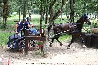 Photo n 44931&#10;SAUMUR 2018 photo JP Giraud www.photovendee85.fr&#10;Verna Valentine&#10;Affiche 12 fois&#10;Ajoute le 16/06/2018 00:02:26 par JeanClaudeGrognet&#10;&#10;--> Cliquer pour agrandir <--