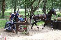 Photo n° 44931
SAUMUR 2018 photo JP Giraud www.photovendee85.fr
Verna Valentine
Affichée 10 fois
Ajoutée le 16/06/2018 00:02:26 par JeanClaudeGrognet

--> Cliquer pour agrandir <--