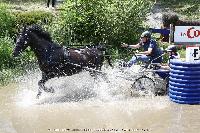 Photo n 44933&#10;SAUMUR 2018 photo JP Giraud www.photovendee85.fr&#10;Vignaud Michel&#10;Affiche 9 fois&#10;Ajoute le 16/06/2018 00:02:26 par JeanClaudeGrognet&#10;&#10;--> Cliquer pour agrandir <--