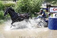 Photo n° 44933
SAUMUR 2018 photo JP Giraud www.photovendee85.fr
Vignaud Michel
Affichée 7 fois
Ajoutée le 16/06/2018 00:02:26 par JeanClaudeGrognet

--> Cliquer pour agrandir <--