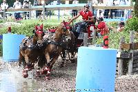Photo n 44938&#10;SAUMUR 2018 photo JP Giraud www.photovendee85.fr&#10;Voutaz Jrome&#10;Affiche 19 fois&#10;Ajoute le 16/06/2018 00:02:27 par JeanClaudeGrognet&#10;&#10;--> Cliquer pour agrandir <--