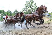 Photo n 44943&#10;SAUMUR 2018 photo JP Giraud www.photovendee85.fr&#10;Weber Chester (USA)&#10;Affiche 47 fois&#10;Ajoute le 16/06/2018 00:02:27 par JeanClaudeGrognet&#10;&#10;--> Cliquer pour agrandir <--