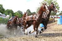 Photo n 44945&#10;SAUMUR 2018 photo JP Giraud www.photovendee85.fr&#10;Geerts Glenn (BEL)&#10;Affiche 17 fois&#10;Ajoute le 16/06/2018 00:02:27 par JeanClaudeGrognet&#10;&#10;--> Cliquer pour agrandir <--