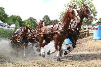 Photo n° 44945
SAUMUR 2018 photo JP Giraud www.photovendee85.fr
Geerts Glenn (BEL)
Affichée 15 fois
Ajoutée le 16/06/2018 00:02:27 par JeanClaudeGrognet

--> Cliquer pour agrandir <--