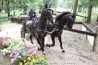 Photo n 44946&#10;SAUMUR 2018 photo JP Giraud www.photovendee85.fr&#10;Dimer Daniel &#10;Affiche 18 fois&#10;Ajoute le 16/06/2018 00:02:27 par JeanClaudeGrognet&#10;&#10;--> Cliquer pour agrandir <--