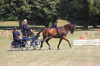 Photo n 45030&#10;HEILLY 2018&#10;Catherine Mouillade&#10;Affiche 9 fois&#10;Ajoute le 02/07/2018 13:37:19 par JeanClaudeGrognet&#10;&#10;--> Cliquer pour agrandir <--