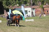 Photo n 45032&#10;HEILLY 2018&#10;Christophe Trangosi&#10;Affiche 9 fois&#10;Ajoute le 02/07/2018 13:37:19 par JeanClaudeGrognet&#10;&#10;--> Cliquer pour agrandir <--
