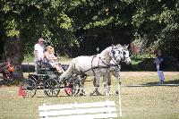 Photo n 45050&#10;HEILLY 2018&#10;&#10;Affiche 16 fois&#10;Ajoute le 02/07/2018 13:37:19 par JeanClaudeGrognet&#10;&#10;--> Cliquer pour agrandir <--