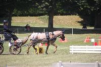 Photo n 45064&#10;HEILLY 2018&#10;&#10;Affiche 14 fois&#10;Ajoute le 02/07/2018 13:37:20 par JeanClaudeGrognet&#10;&#10;--> Cliquer pour agrandir <--