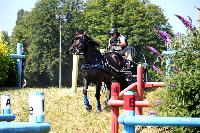 Photo n° 45156
LISIEUX juillet 2018. Photo N. TOUDIC
Marc MENET
Affichée 8 fois
Ajoutée le 10/07/2018 11:28:48 par Nadinetoudic

--> Cliquer pour agrandir <--