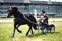 Photo n 45157&#10;LISIEUX juillet 2018. Photo N. TOUDIC&#10;Marc MENET&#10;Affiche 41 fois&#10;Ajoute le 10/07/2018 11:28:48 par Nadinetoudic&#10;&#10;--> Cliquer pour agrandir <--