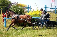 Photo n 45163&#10;LISIEUX juillet 2018. Photo N. TOUDIC&#10;Catherine MOUILLADE&#10;Affiche 12 fois&#10;Ajoute le 10/07/2018 11:28:48 par Nadinetoudic&#10;&#10;--> Cliquer pour agrandir <--