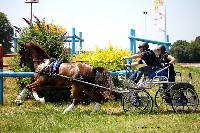 Photo n 45173&#10;LISIEUX juillet 2018. Photo Nadine TOUDIC&#10;Daniel DEFEZ&#10;Affiche 16 fois&#10;Ajoute le 10/07/2018 13:57:05 par Nadinetoudic&#10;&#10;--> Cliquer pour agrandir <--