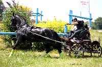 Photo n 45176&#10;LISIEUX juillet 2018. Photo Nadine TOUDIC&#10;Johnny GAFFE&#10;Affiche 14 fois&#10;Ajoute le 10/07/2018 13:57:05 par Nadinetoudic&#10;&#10;--> Cliquer pour agrandir <--