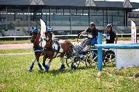 Photo n 45183&#10;LISIEUX juillet 2018. Photo Nadine TOUDIC&#10;Mireille MARLIN&#10;Affiche 50 fois&#10;Ajoute le 10/07/2018 13:57:05 par Nadinetoudic&#10;&#10;--> Cliquer pour agrandir <--