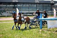 Photo n° 45183
LISIEUX juillet 2018. Photo Nadine TOUDIC
Mireille MARLIN
Affichée 38 fois
Ajoutée le 10/07/2018 13:57:05 par Nadinetoudic

--> Cliquer pour agrandir <--