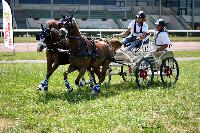 Photo n 45190&#10;LISIEUX juillet 2018. Photo Nadine TOUDIC&#10;Robin CRESSENT&#10;Affiche 17 fois&#10;Ajoute le 10/07/2018 13:57:05 par Nadinetoudic&#10;&#10;--> Cliquer pour agrandir <--