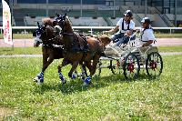 Photo n° 45190
LISIEUX juillet 2018. Photo Nadine TOUDIC
Robin CRESSENT
Affichée 12 fois
Ajoutée le 10/07/2018 13:57:05 par Nadinetoudic

--> Cliquer pour agrandir <--