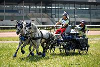Photo n 45193&#10;LISIEUX juillet 2018. Photo Nadine TOUDIC&#10;Pnlope BROOKE&#10;Affiche 26 fois&#10;Ajoute le 10/07/2018 13:57:06 par Nadinetoudic&#10;&#10;--> Cliquer pour agrandir <--