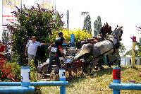 Photo n 45194&#10;LISIEUX juillet 2018. Photo Nadine TOUDIC&#10;Laetitia Maricourt&#10;Affiche 20 fois&#10;Ajoute le 10/07/2018 13:57:06 par Nadinetoudic&#10;&#10;--> Cliquer pour agrandir <--