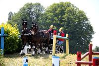 Photo n° 45198
LISIEUX juillet 2018. Photo Nadine TOUDIC
Maxime MARICOURT
Affichée 12 fois
Ajoutée le 10/07/2018 13:57:06 par Nadinetoudic

--> Cliquer pour agrandir <--