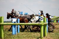 Photo n 45202&#10;LISIEUX juillet 2018. Photo Nadine TOUDIC&#10;Laetitia Maricourt&#10;Affiche 9 fois&#10;Ajoute le 10/07/2018 13:57:06 par Nadinetoudic&#10;&#10;--> Cliquer pour agrandir <--