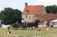 Photo n 45204&#10;CAT La Chevillonire JP Giraud - photovendee85.fr&#10;&#10;Affiche 23 fois&#10;Ajoute le 11/07/2018 13:29:53 par JeanClaudeGrognet&#10;&#10;--> Cliquer pour agrandir <--