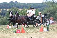 Photo n 45205&#10;CAT La Chevillonire JP Giraud - photovendee85.fr&#10;&#10;Affiche 25 fois&#10;Ajoute le 11/07/2018 13:29:53 par JeanClaudeGrognet&#10;&#10;--> Cliquer pour agrandir <--