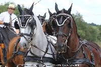 Photo n 45207&#10;CAT La Chevillonire JP Giraud - photovendee85.fr&#10;&#10;Affiche 20 fois&#10;Ajoute le 11/07/2018 13:29:53 par JeanClaudeGrognet&#10;&#10;--> Cliquer pour agrandir <--