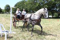 Photo n 45217&#10;CAT La Chevillonire JP Giraud - photovendee85.fr&#10;&#10;Affiche 16 fois&#10;Ajoute le 11/07/2018 13:29:53 par JeanClaudeGrognet&#10;&#10;--> Cliquer pour agrandir <--