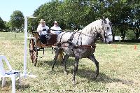 Photo n° 45217
CAT La Chevillonière JP Giraud - photovendee85.fr

Affichée 14 fois
Ajoutée le 11/07/2018 13:29:53 par JeanClaudeGrognet

--> Cliquer pour agrandir <--