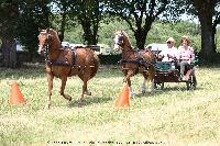 Photo n 45219&#10;CAT La Chevillonire JP Giraud - photovendee85.fr&#10;&#10;Affiche 27 fois&#10;Ajoute le 11/07/2018 13:29:54 par JeanClaudeGrognet&#10;&#10;--> Cliquer pour agrandir <--