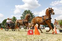 Photo n 45221&#10;CAT La Chevillonire JP Giraud - photovendee85.fr&#10;&#10;Affiche 37 fois&#10;Ajoute le 11/07/2018 13:29:54 par JeanClaudeGrognet&#10;&#10;--> Cliquer pour agrandir <--
