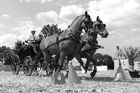 Photo n 45225&#10;CAT La Chevillonire JP Giraud - photovendee85.fr&#10;&#10;Affiche 11 fois&#10;Ajoute le 11/07/2018 13:29:54 par JeanClaudeGrognet&#10;&#10;--> Cliquer pour agrandir <--