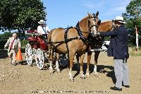 Photo n 45226&#10;CAT La Chevillonire JP Giraud - photovendee85.fr&#10;&#10;Affiche 12 fois&#10;Ajoute le 11/07/2018 13:29:54 par JeanClaudeGrognet&#10;&#10;--> Cliquer pour agrandir <--