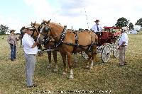 Photo n 45227&#10;CAT La Chevillonire JP Giraud - photovendee85.fr&#10;&#10;Affiche 14 fois&#10;Ajoute le 11/07/2018 13:29:54 par JeanClaudeGrognet&#10;&#10;--> Cliquer pour agrandir <--