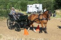 Photo n 45232&#10;CAT La Chevillonire JP Giraud - photovendee85.fr&#10;&#10;Affiche 20 fois&#10;Ajoute le 11/07/2018 13:29:54 par JeanClaudeGrognet&#10;&#10;--> Cliquer pour agrandir <--