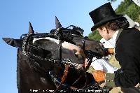 Photo n 45235&#10;CAT La Chevillonire JP Giraud - photovendee85.fr&#10;&#10;Affiche 18 fois&#10;Ajoute le 11/07/2018 13:29:54 par JeanClaudeGrognet&#10;&#10;--> Cliquer pour agrandir <--