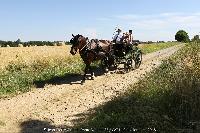 Photo n 45238&#10;CAT La Chevillonire JP Giraud - photovendee85.fr&#10;&#10;Affiche 7 fois&#10;Ajoute le 11/07/2018 13:29:54 par JeanClaudeGrognet&#10;&#10;--> Cliquer pour agrandir <--