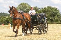 Photo n 45239&#10;CAT La Chevillonire JP Giraud - photovendee85.fr&#10;&#10;Affiche 22 fois&#10;Ajoute le 11/07/2018 13:29:54 par JeanClaudeGrognet&#10;&#10;--> Cliquer pour agrandir <--