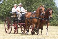 Photo n° 45240
CAT La Chevillonière JP Giraud - photovendee85.fr

Affichée 9 fois
Ajoutée le 11/07/2018 13:29:54 par JeanClaudeGrognet

--> Cliquer pour agrandir <--