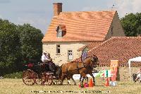 Photo n 45246&#10;CAT La Chevillonire JP Giraud - photovendee85.fr&#10;&#10;Affiche 37 fois&#10;Ajoute le 11/07/2018 13:29:55 par JeanClaudeGrognet&#10;&#10;--> Cliquer pour agrandir <--