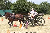 Photo n 45247&#10;CAT La Chevillonire JP Giraud - photovendee85.fr&#10;&#10;Affiche 33 fois&#10;Ajoute le 11/07/2018 13:29:55 par JeanClaudeGrognet&#10;&#10;--> Cliquer pour agrandir <--