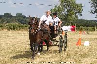 Photo n 45248&#10;CAT La Chevillonire JP Giraud - photovendee85.fr&#10;&#10;Affiche 21 fois&#10;Ajoute le 11/07/2018 13:29:55 par JeanClaudeGrognet&#10;&#10;--> Cliquer pour agrandir <--