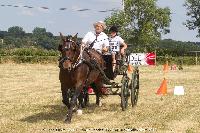 Photo n° 45248
CAT La Chevillonière JP Giraud - photovendee85.fr

Affichée 19 fois
Ajoutée le 11/07/2018 13:29:55 par JeanClaudeGrognet

--> Cliquer pour agrandir <--