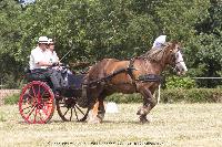 Photo n° 45250
CAT La Chevillonière JP Giraud - photovendee85.fr

Affichée 10 fois
Ajoutée le 11/07/2018 13:29:55 par JeanClaudeGrognet

--> Cliquer pour agrandir <--