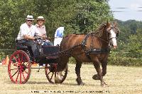 Photo n 45251&#10;CAT La Chevillonire JP Giraud - photovendee85.fr&#10;&#10;Affiche 17 fois&#10;Ajoute le 11/07/2018 13:29:55 par JeanClaudeGrognet&#10;&#10;--> Cliquer pour agrandir <--