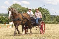 Photo n 45252&#10;CAT La Chevillonire JP Giraud - photovendee85.fr&#10;&#10;Affiche 13 fois&#10;Ajoute le 11/07/2018 13:29:55 par JeanClaudeGrognet&#10;&#10;--> Cliquer pour agrandir <--