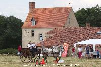 Photo n 45255&#10;CAT La Chevillonire JP Giraud - photovendee85.fr&#10;&#10;Affiche 14 fois&#10;Ajoute le 11/07/2018 13:29:55 par JeanClaudeGrognet&#10;&#10;--> Cliquer pour agrandir <--
